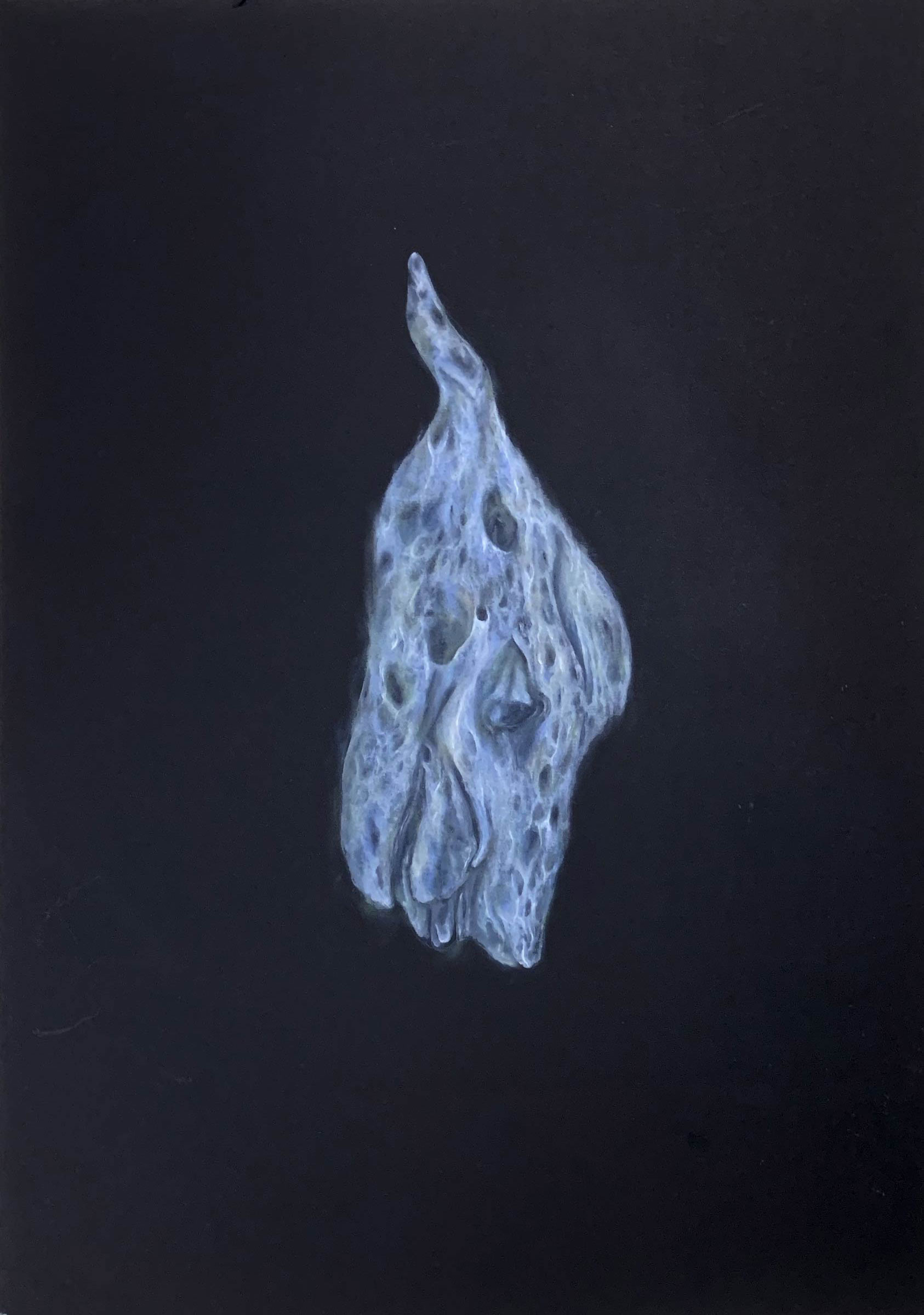 Unified Fields - Drawings - 'Embryonic Forms' Series - 8