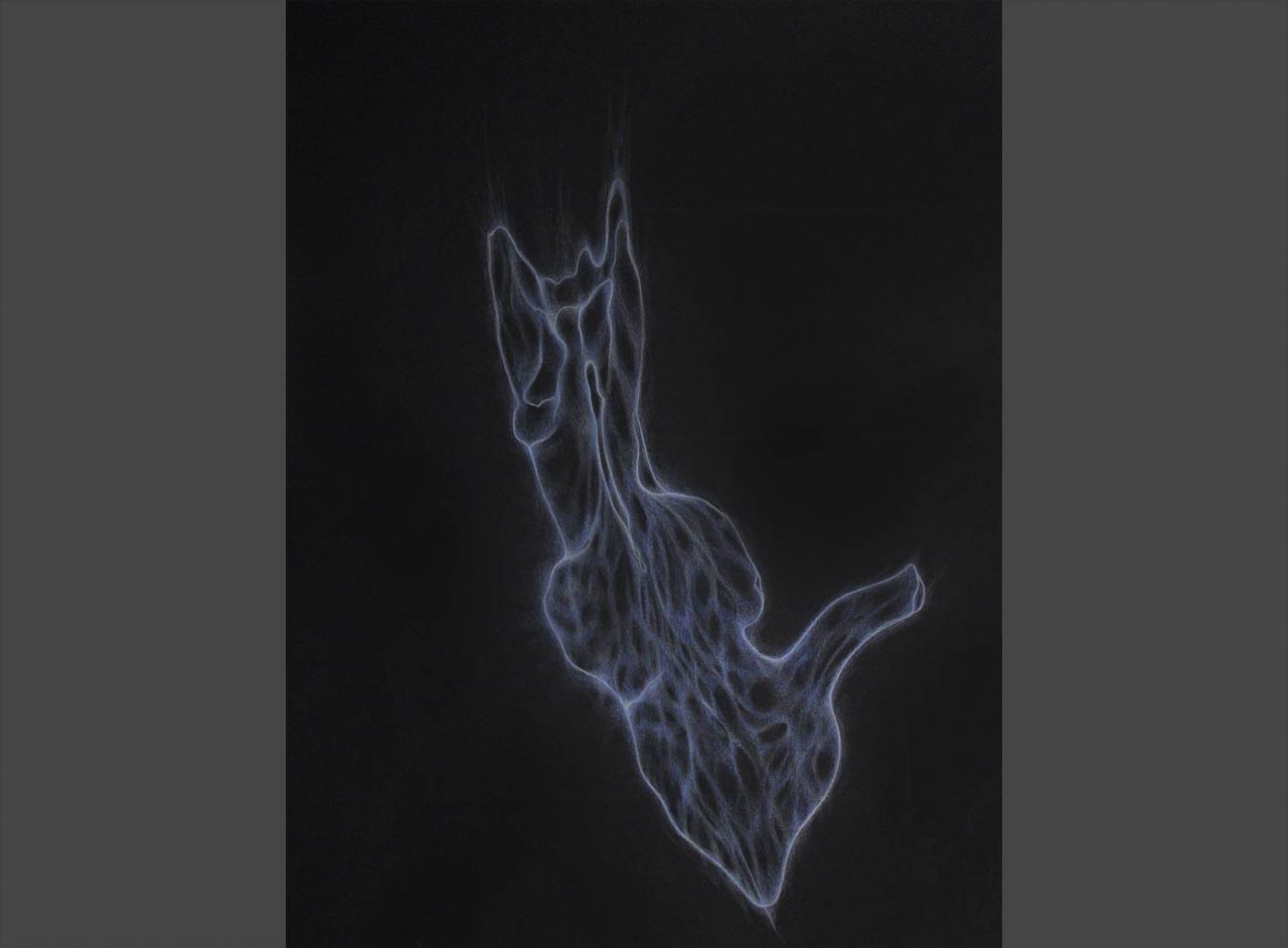 Unified Fields - Drawings - From Bones To Birth - From Bones To Birth Series - 5